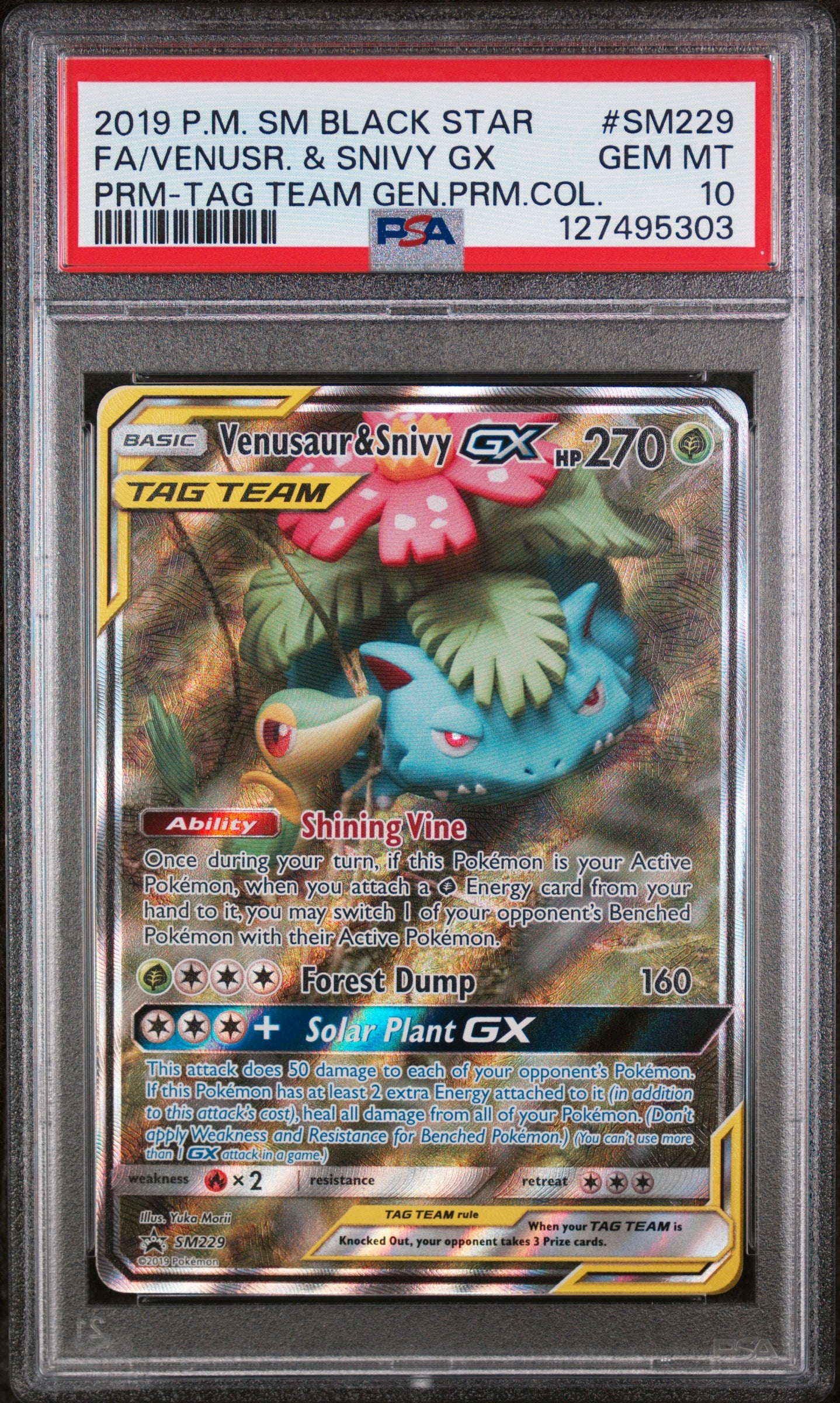 2019 POKEMON SM BLACK STAR PROMO #SM229 VENUSAUR & SNIVY GX PSA 10 GEM MINT